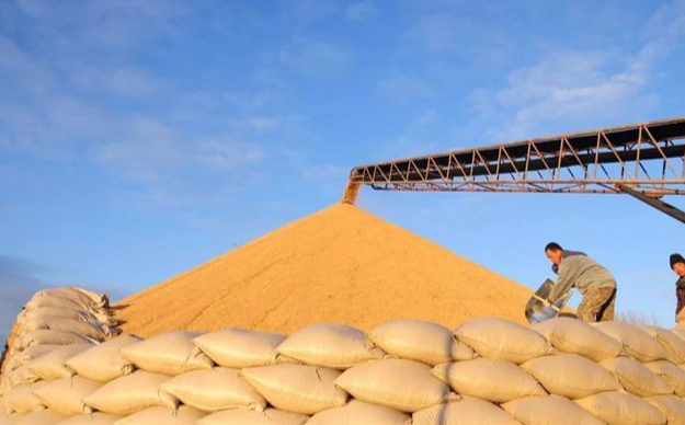 1761188034447846.png FED37186-24DB-4856-9971-83284E23DF4F.png