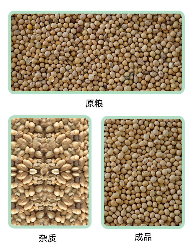 1769412151986247.jpg 5XZ-6小程序.jpg